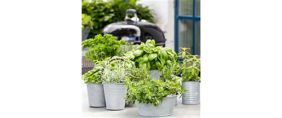 GESUND NASCHEN AUF DEM BALKON!