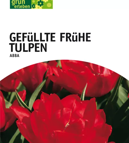 Gefüllte frühe Tulpen