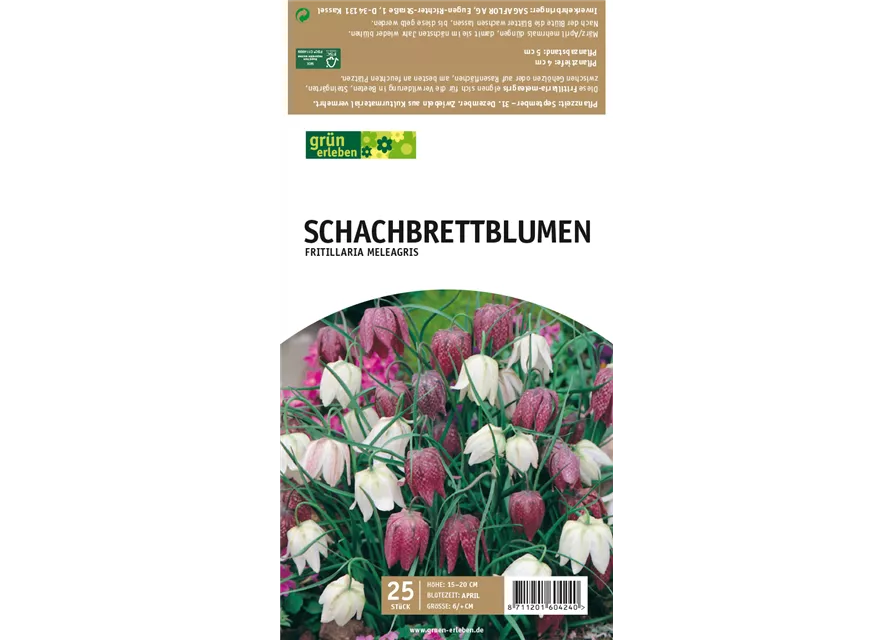 Schachbrettblumen