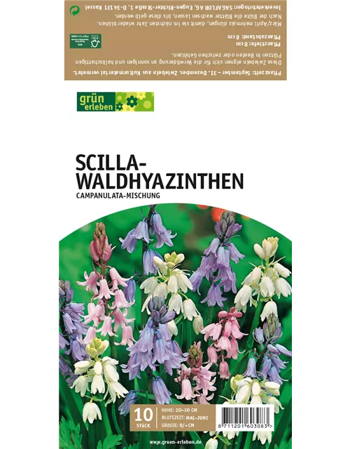 Waldhyazinthen