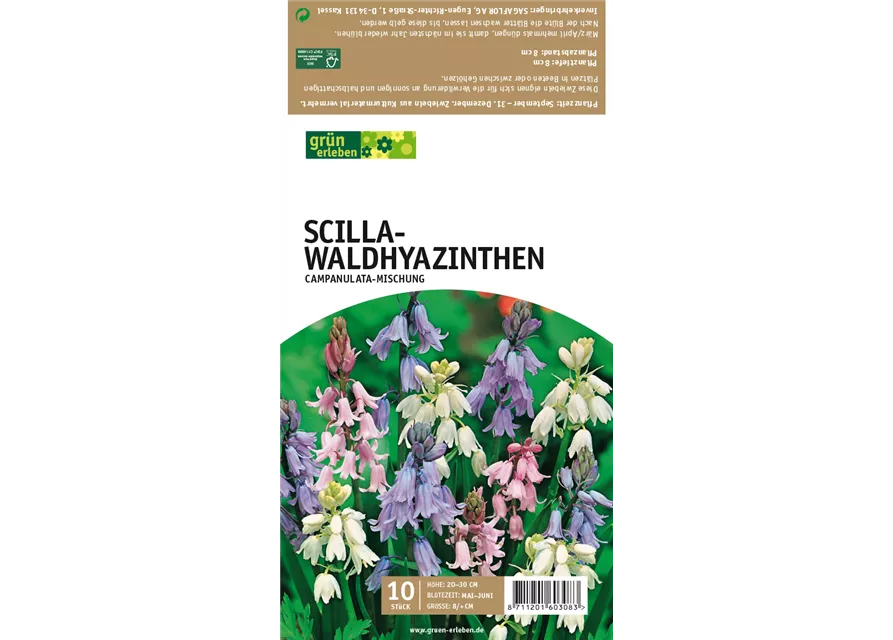 Waldhyazinthen