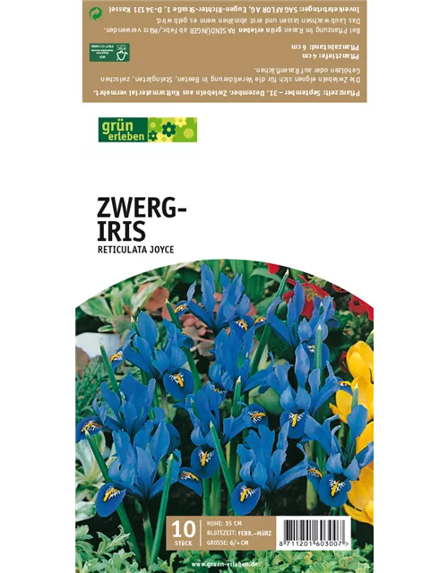 Zwerg-Iris