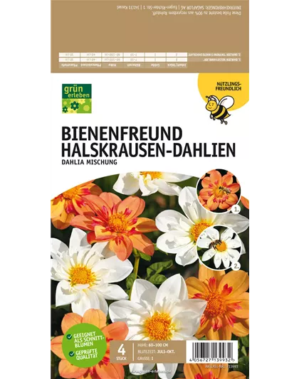 Bienenfreund Halskrausen-Dahlien