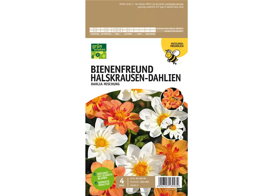 Bienenfreund Halskrausen-Dahlien