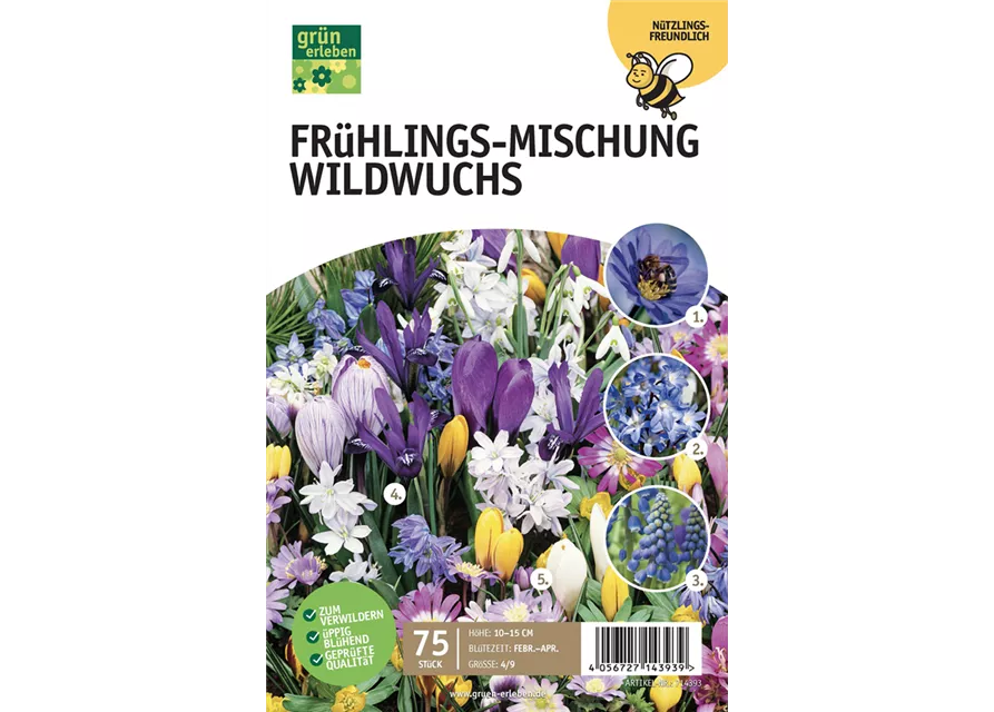 Frühlingswiese