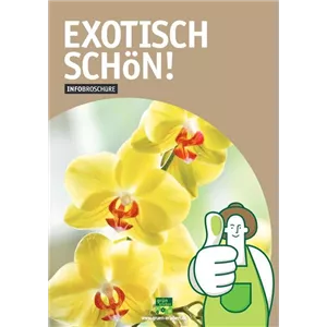 EXOTISCH SCHöN!